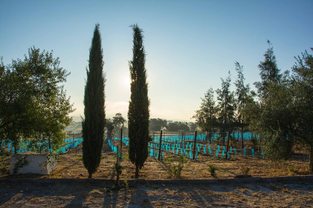 Hotel Rural Monte Da Provenca Elvas Buitenkant foto